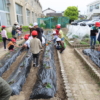 Thumbnail of post image 017