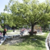 Thumbnail of new posts 055