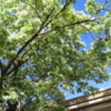 Thumbnail of post image 046