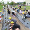 Thumbnail of post image 032