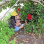 Thumbnail of post image 081