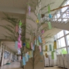 Thumbnail of new posts 068