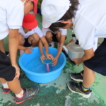 Thumbnail of post image 170