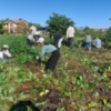 Thumbnail of new posts 080