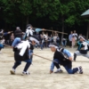 Thumbnail of new posts 138