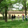 Thumbnail of post image 191