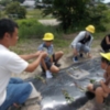 Thumbnail of post image 106
