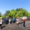 Thumbnail of post image 191