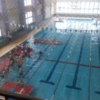 Thumbnail of post image 109